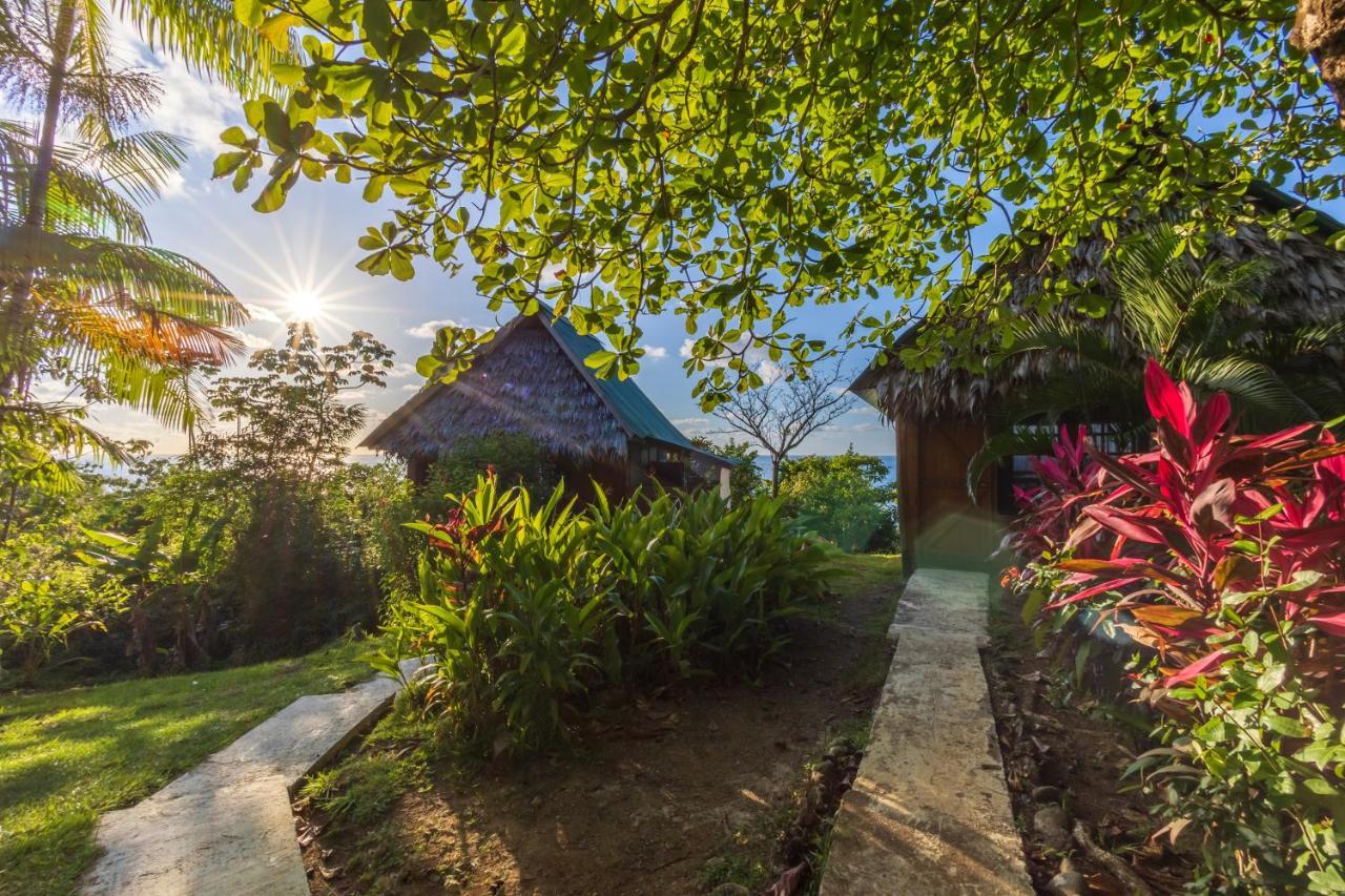 Punta Marenco Lodge Drakes Bay Εξωτερικό φωτογραφία
